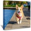 Customize Canvas Prints with Your Photo Canvas Wall Art- Personalized Canvas Picture, Customized To Any Style, US Factory Drop Shipping